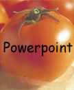 Powerpoint Thumbnail