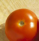 Tomato 1